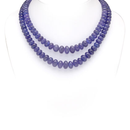 TANZANITE EXTRA, CIPOLLA LISCIA