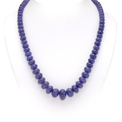 TANZANITE EXTRA, CIPOLLA LISCIA