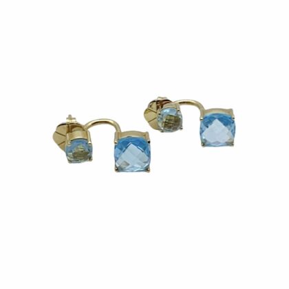 Earrings with 2 stones