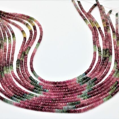 Tormalina multicolor